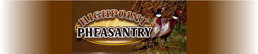 highpoint web header